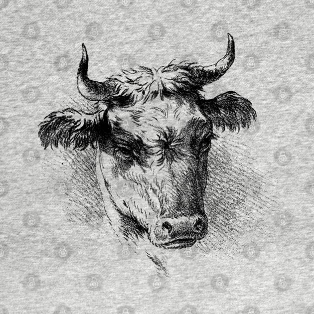 Bull's Head Black and White Illustration by Biophilia